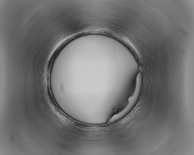 X0000110971124200907101343