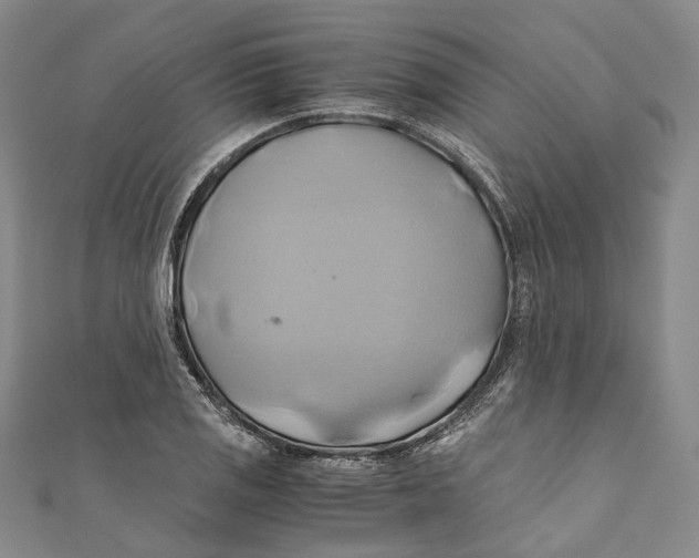 X0000110971125200907101343