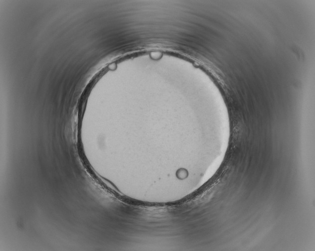 X0000110971126200907101343