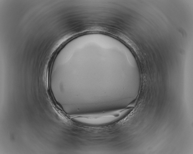 X0000110971127200907101343