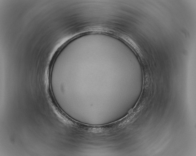 X0000110971128200907101343