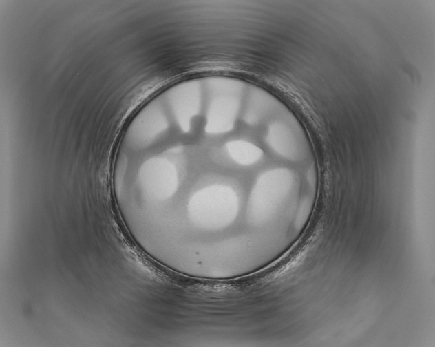 X0000110971129200907101343