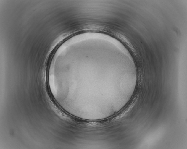 X0000110971130200907101343