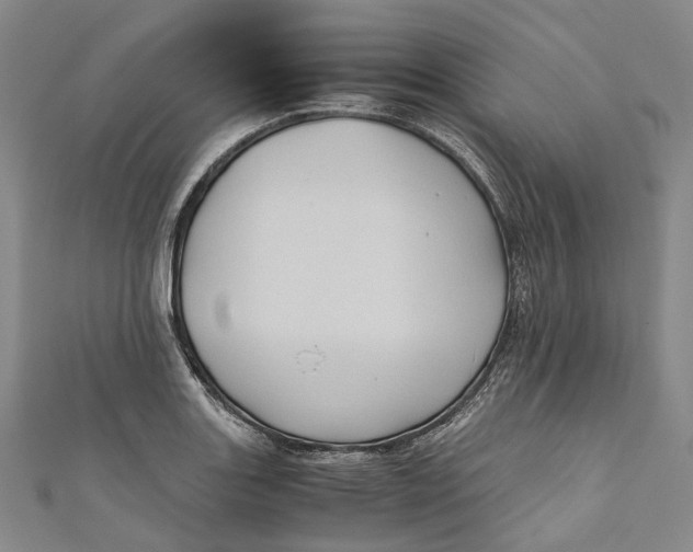 X0000110971131200907101343