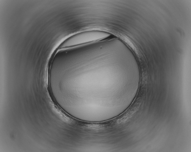 X0000110971132200907101343