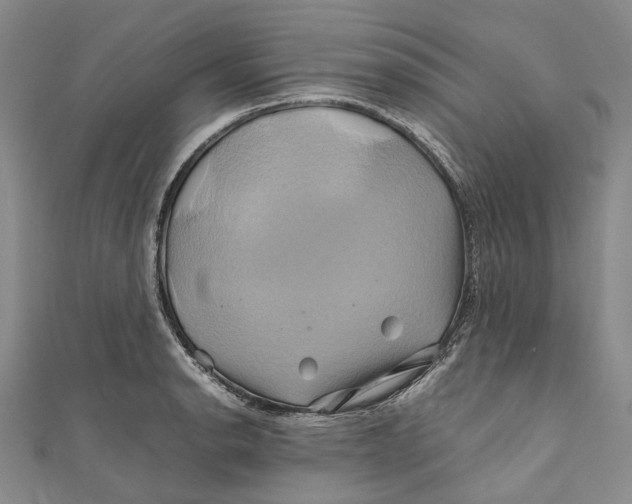 X0000110971134200907101343