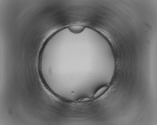 X0000110971135200907101343