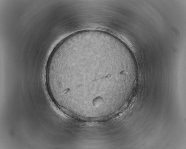 X0000110971136200907101343