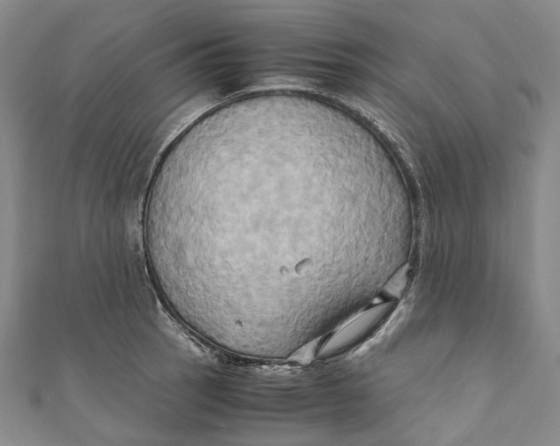 X0000110971137200907101343