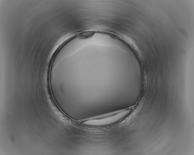 X0000110971138200907101343