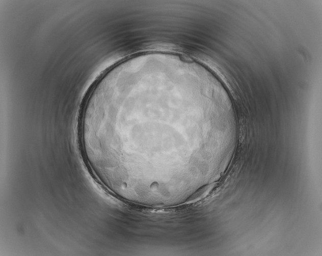 X0000110971139200907101343