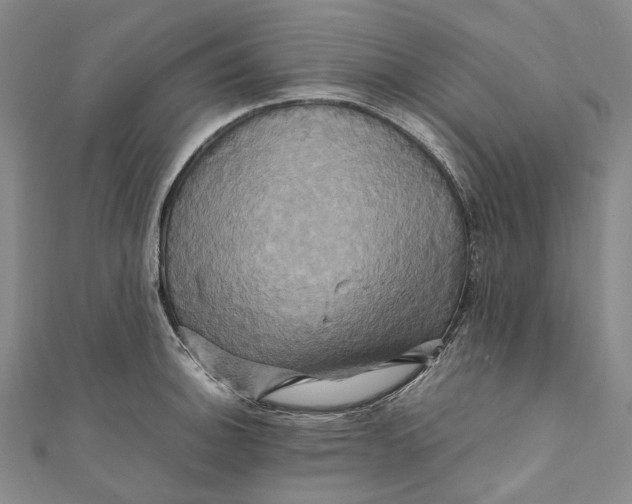 X0000110971140200907101343