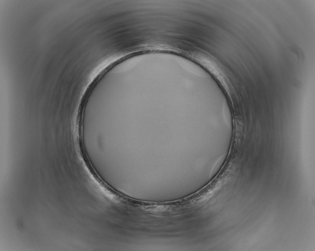 X0000110971141200907101343