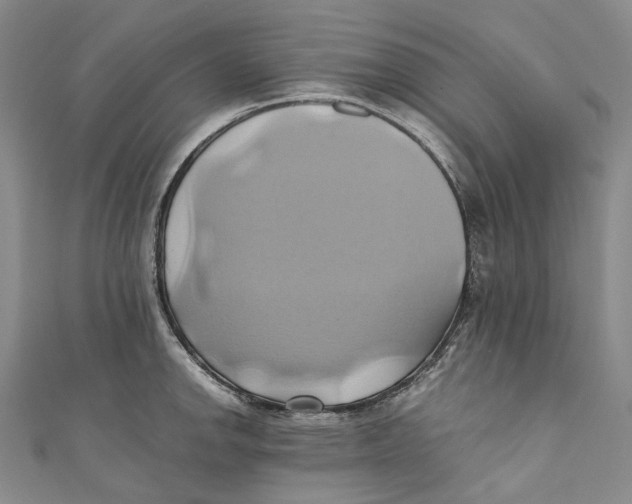 X0000110971142200907101343