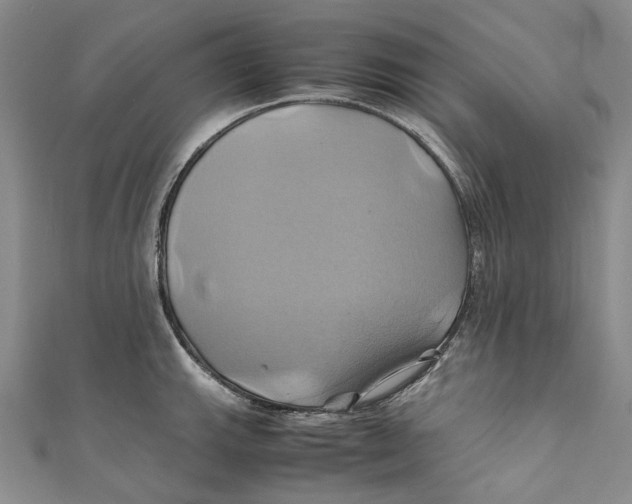 X0000110971143200907101343