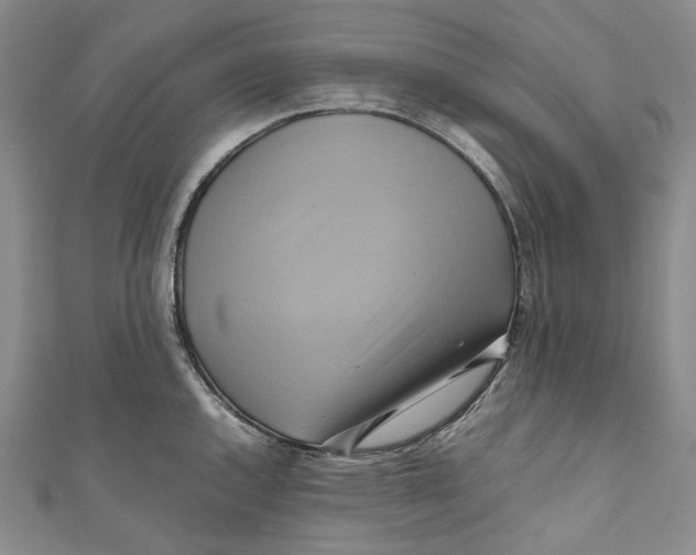 X0000110971144200907101343