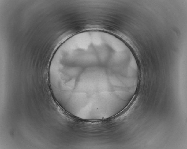 X0000110971145200907101343