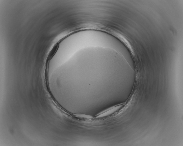 X0000110971146200907101343