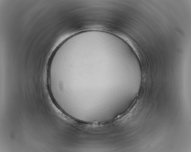 X0000110971147200907101344