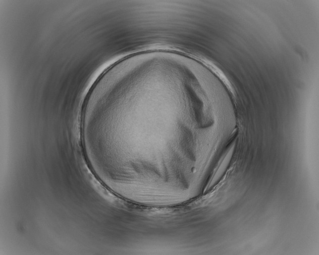 X0000110971148200907101344