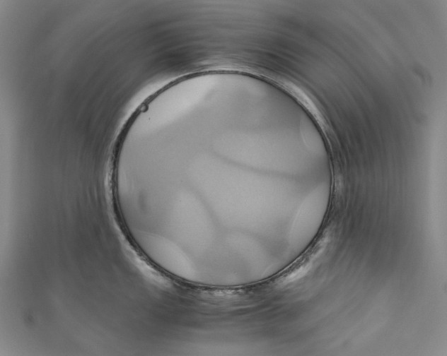 X0000110971149200907101344