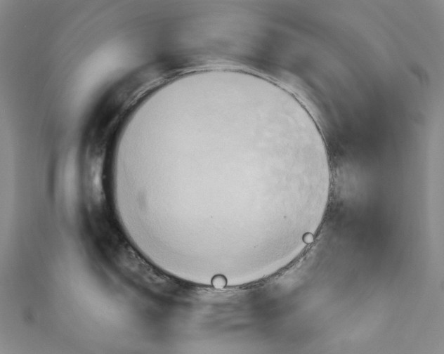 X0000110971150200907101344