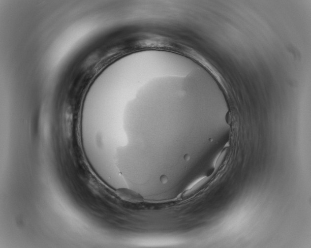 X0000110971151200907101344