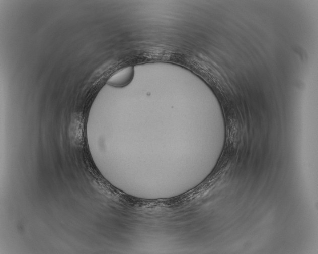 X0000110971154200907101343