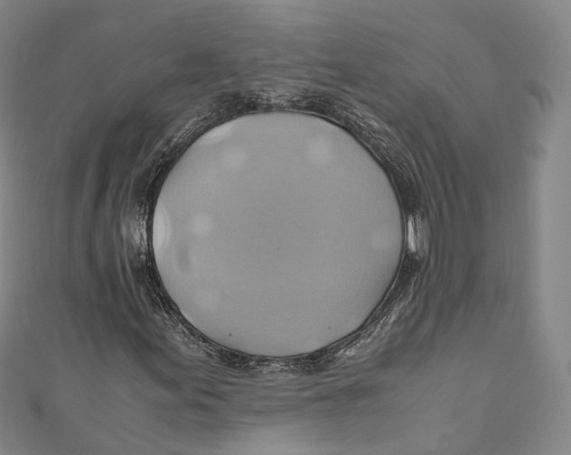 X0000110971155200907101343