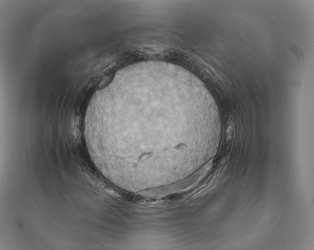 X0000110971156200907101343