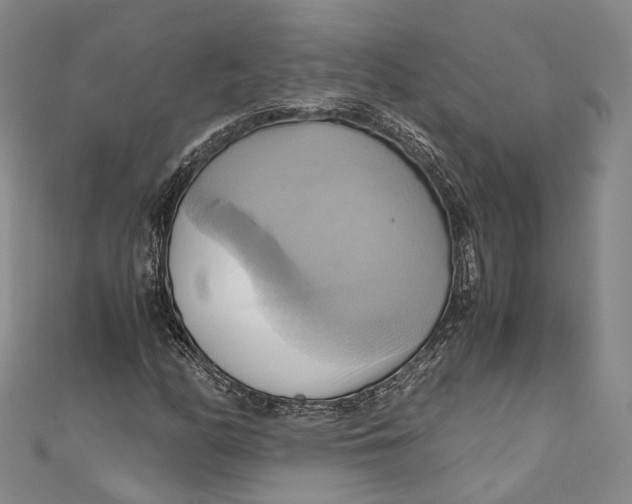 X0000110971158200907101343