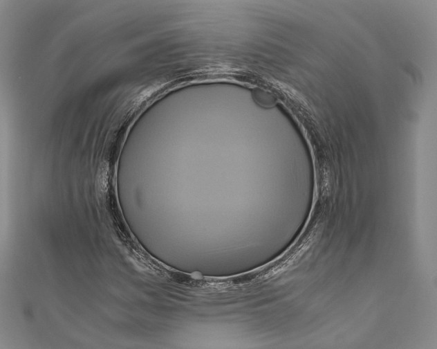 X0000110971161200907101343