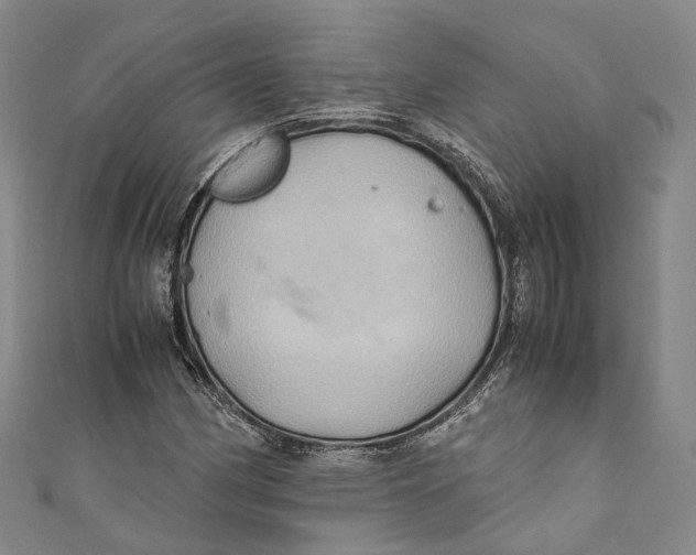 X0000110971162200907101343