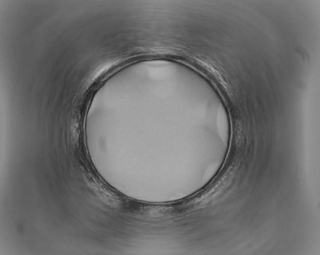 X0000110971163200907101343