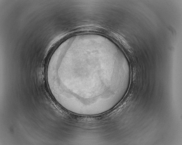 X0000110971164200907101343