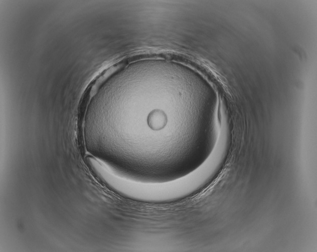 X0000110971165200907101343