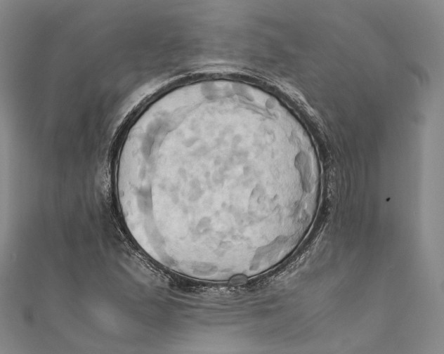 X0000110971167200907101343