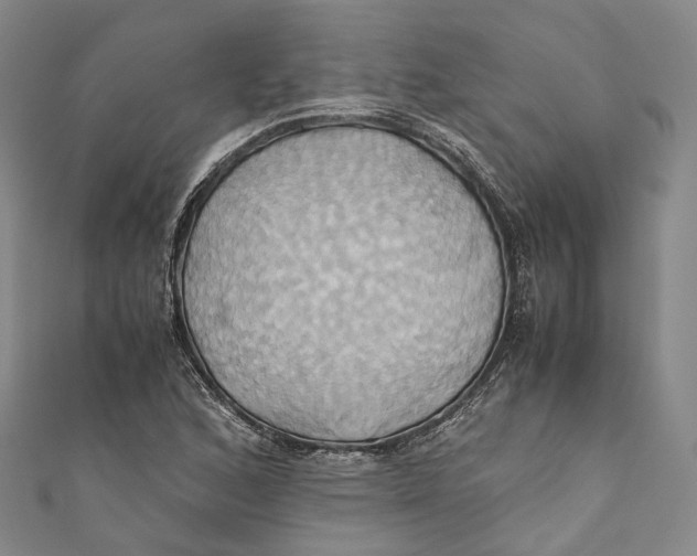 X0000110971168200907101343