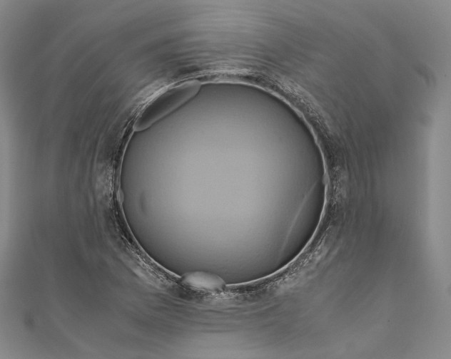 X0000110971169200907101343