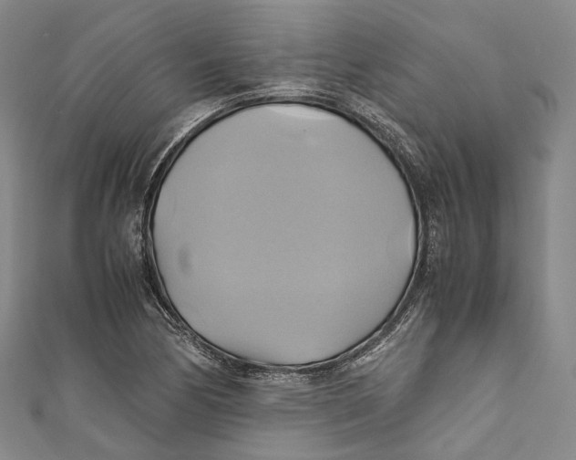 X0000110971170200907101343