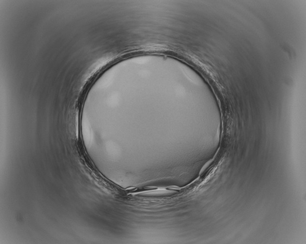 X0000110971171200907101343