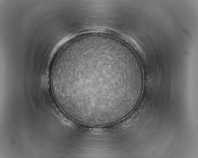 X0000110971172200907101343