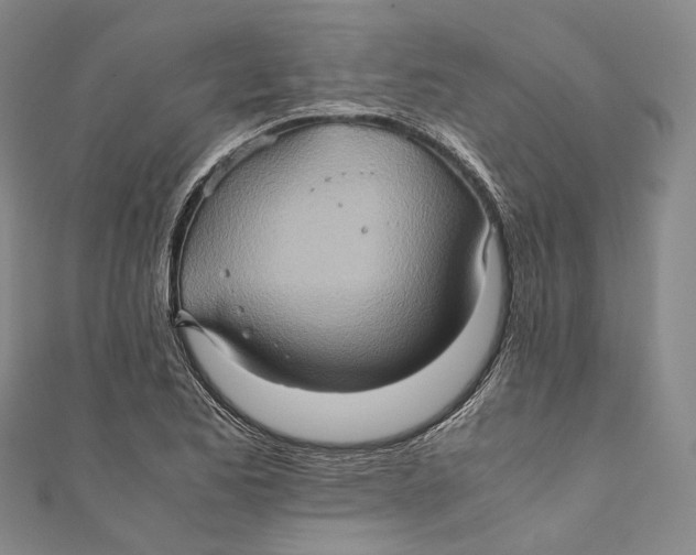 X0000110971173200907101343