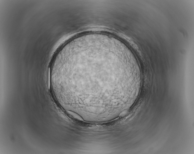 X0000110971175200907101343