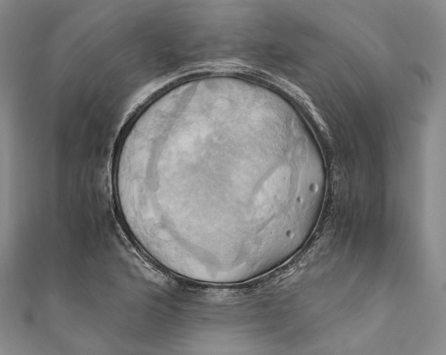 X0000110971176200907101342