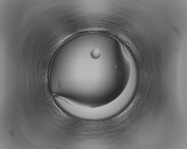 X0000110971177200907101342