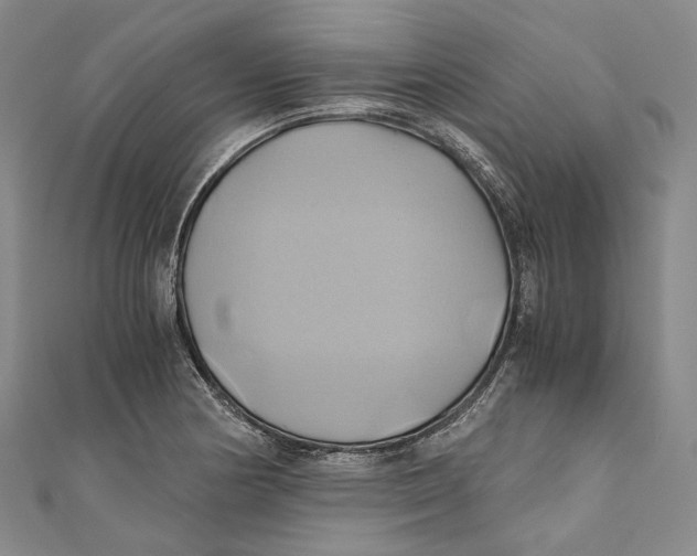 X0000110971178200907101342