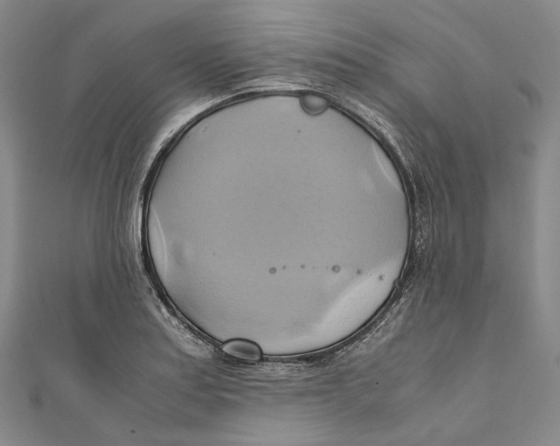 X0000110971179200907101342