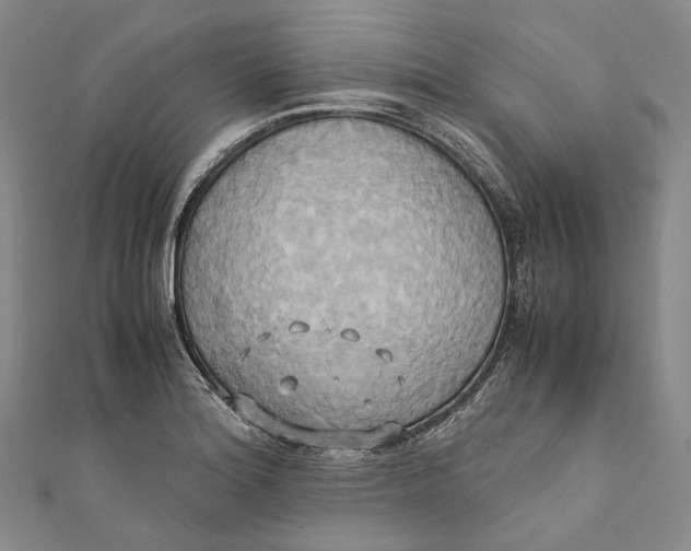 X0000110971180200907101342