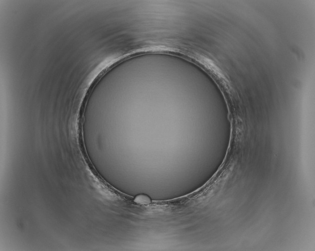 X0000110971181200907101342